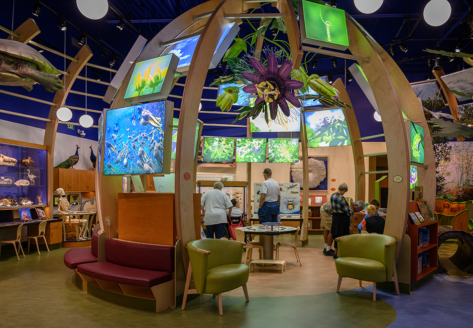 discovery zone exhibit