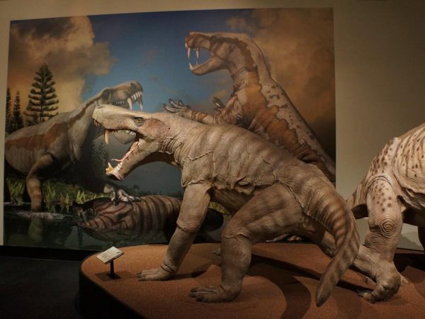 Permian Monsters exhibit, half header