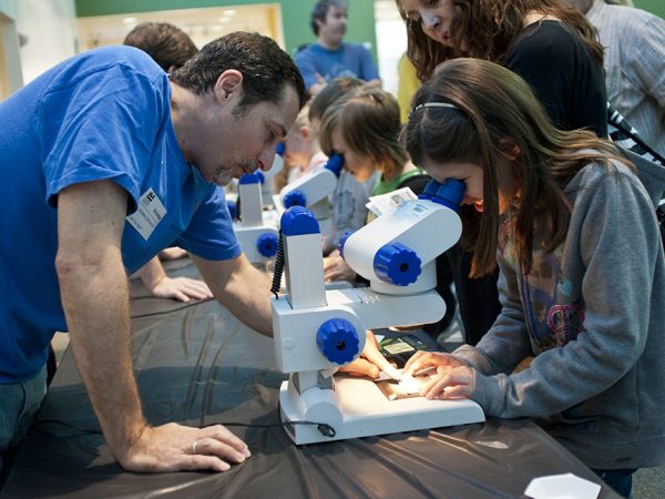 girl looking through microscope