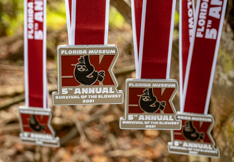 several race medals hanging from a branch