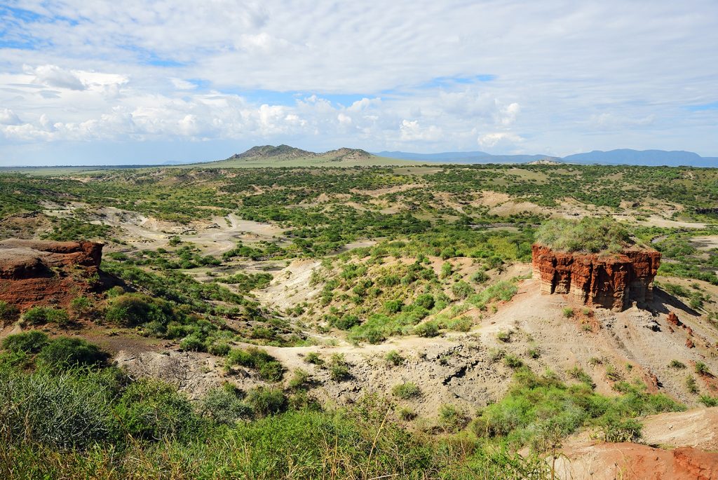 View of Olduvai Gorge, one of the most important paleoanthropological sites in the world. Great Rift Valley, Tanzania Eastern Africa