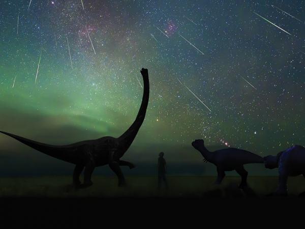 graphic of dinosaurs and a starry sky