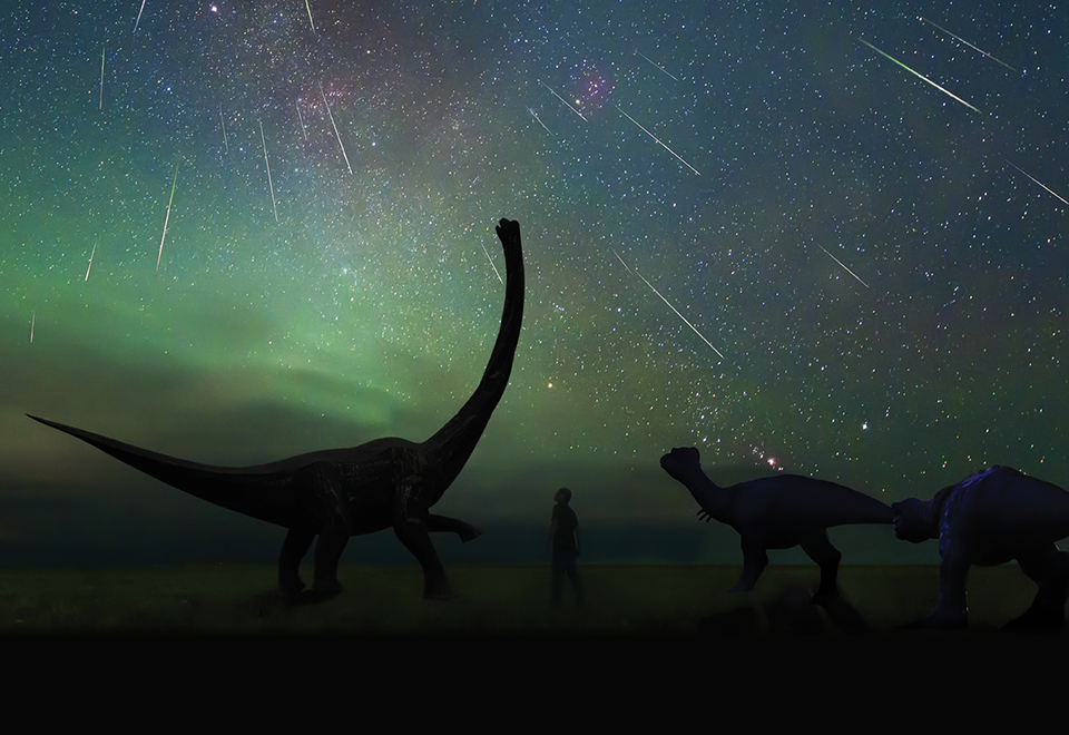 graphic of dinosaurs and a starry sky