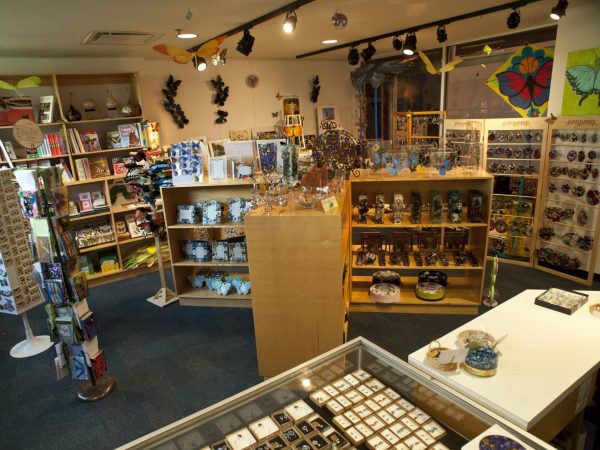 butterfly rainforest gift shop at the florida museum