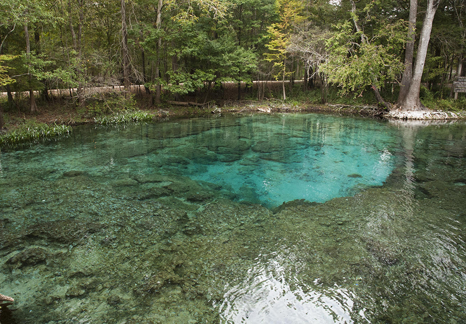 Florida Springs Film Series: Water’s Journey
