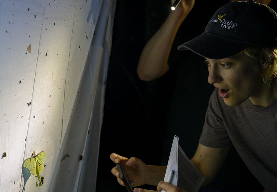 Woman looking at moth