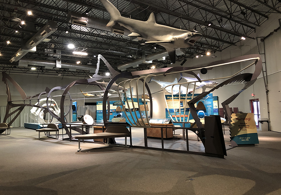 megalodon exhibit