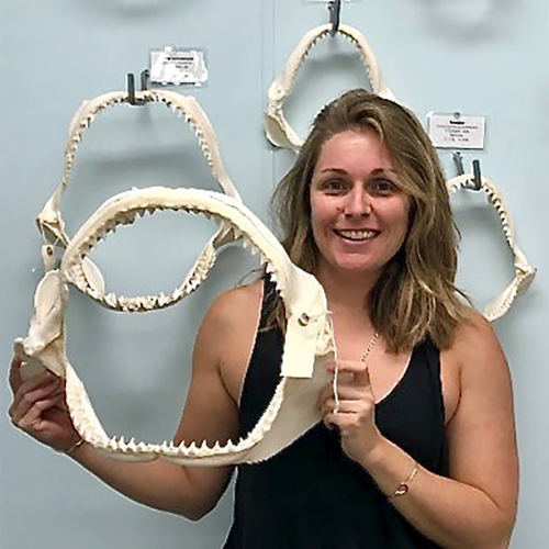 person holding shark jaws