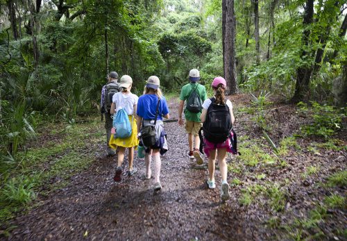 people walking on a trail