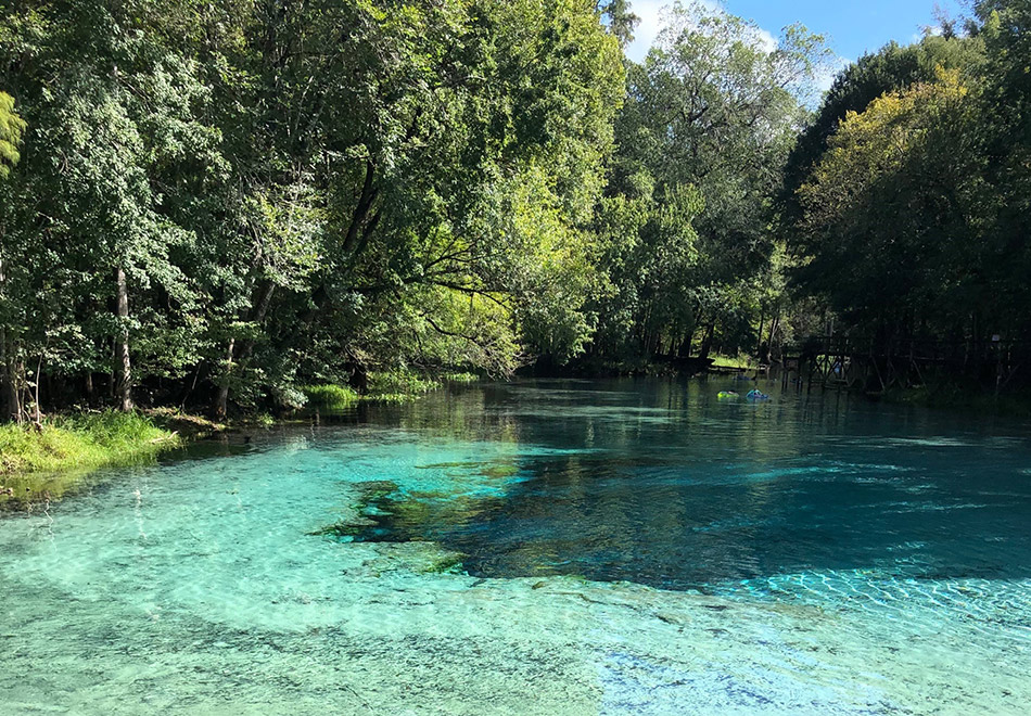 view of clear spring water surrounded by trees