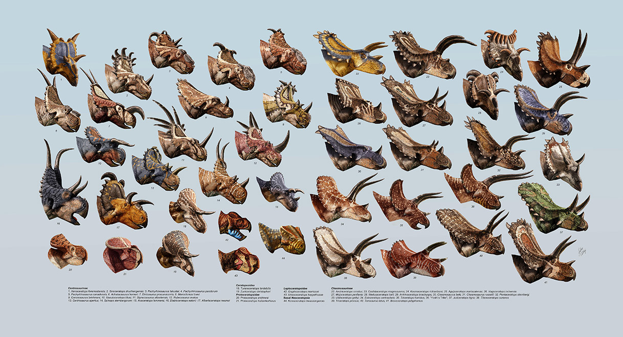 poster of illustrations of dozens of dinosaur heads