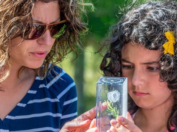 two people look closely at a small spider in a clear box