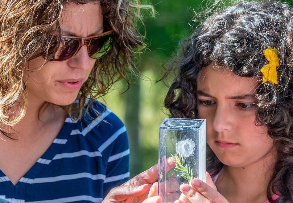 two people look closely at a small spider in a clear box