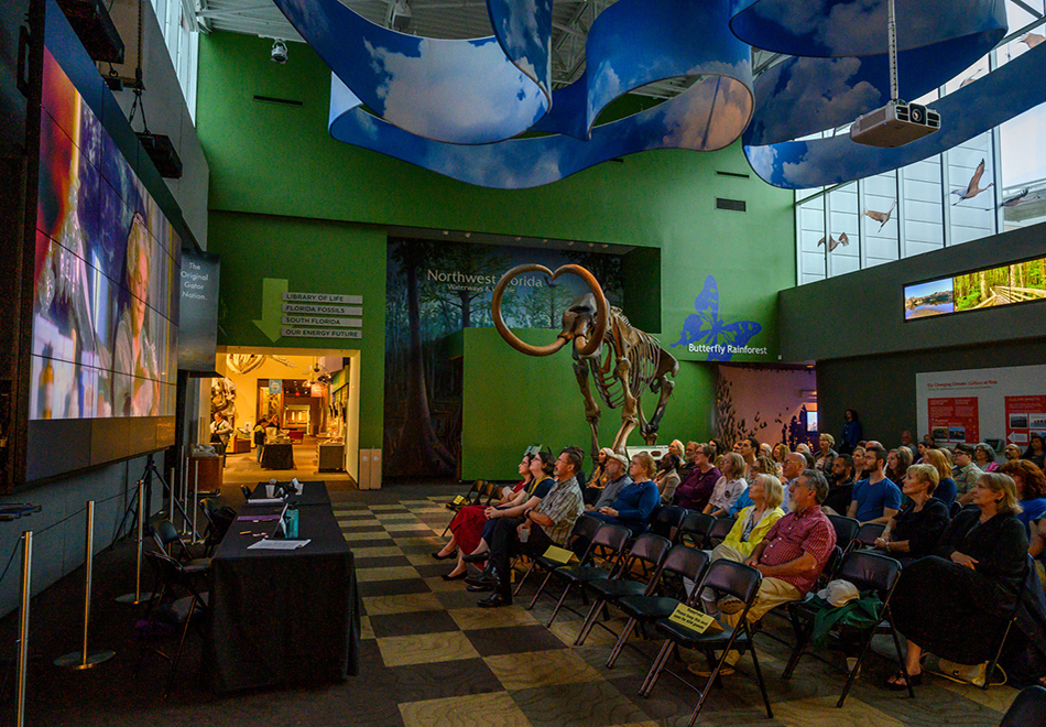 people sitting in rows of folding chairs in a museum gallery looking at a movie screen