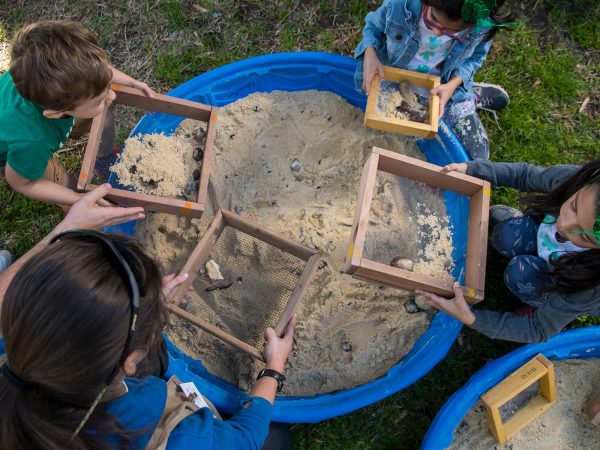 several young children kneel around a small plastic pool filled with sand and use screens to sift through the sand to find rock and fossils