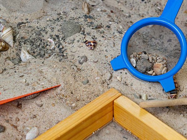 several child's digging toys in sandy soil with shells and a wooden sieve frame