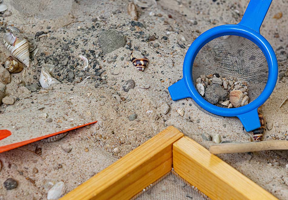 several child's digging toys in sandy soil with shells and a wooden sieve frame