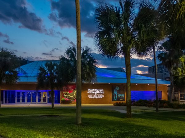 museum building at night