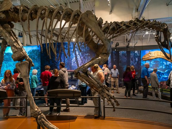 many people are looking at information panels in a museum exhibit with a huge dinosaur slepetion in the foreground and colorful backdrops in the distance