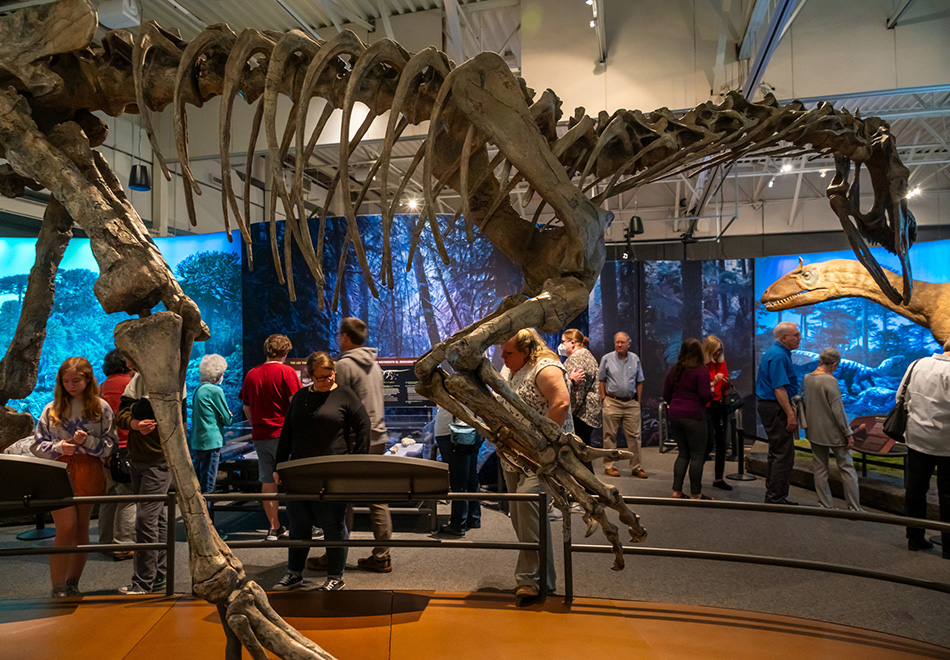 many people are looking at information panels in a museum exhibit with a huge dinosaur slepetion in the foreground and colorful backdrops in the distance