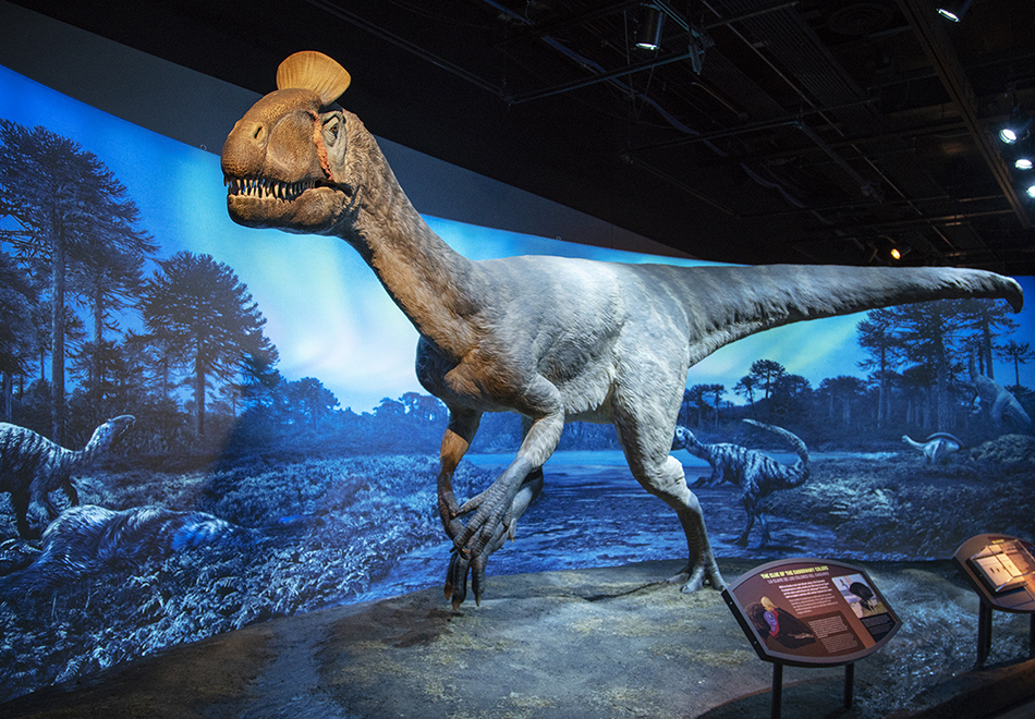 dinosaur on display