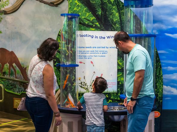 two adults and a child looking at the wind machine in the Florida Museum's Discover Zone