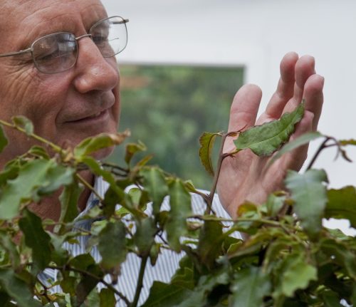 man interacting with plants