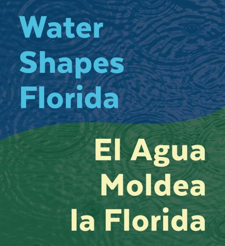 water shapes florida on blue background and el agua moldea la florida on green background
