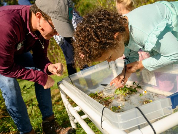 young child leans over a plastic bin and uses a magnifying glass to look at the insects and plants collected in the bin