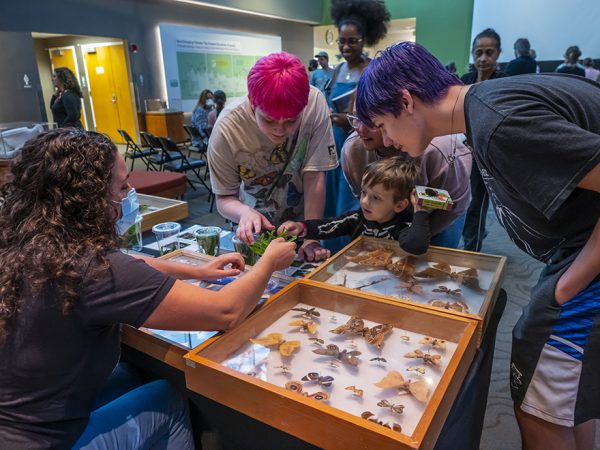 people at a table looking at caterpillar on leaves