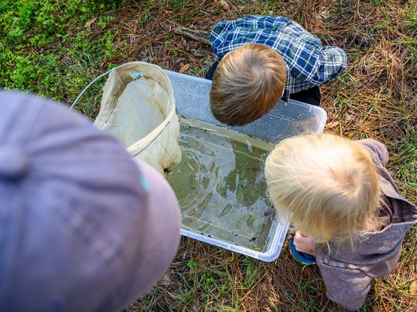 tow toddlers looking into bin filled with pond water