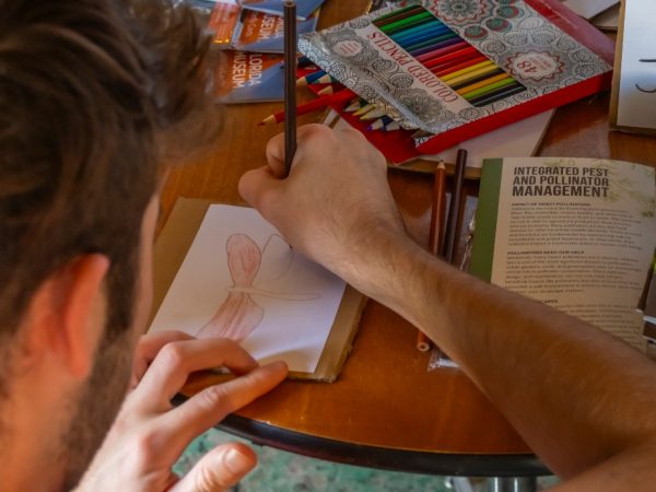 looking over a persons shoulder as they draw a butterfly at a table with craft supplies