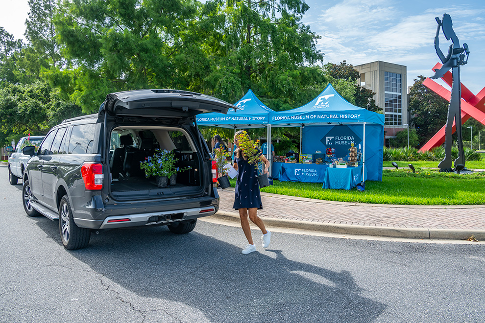 a person is putting potted plants into the back of her car near the curb in front of a tent that seems to be selling plants and other items on a lawn in front of a building and big metal sculptures