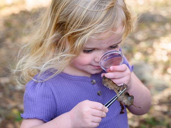 Child uses magnifying glass to look at a leaf held with long metal tweezers