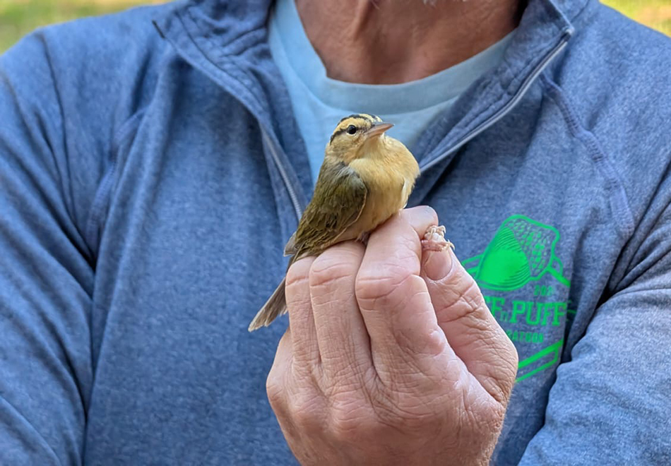 Early Bird Gets the Band with the UF Bird Observatory [SOLD OUT]