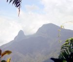 Butterflies of Ecuador