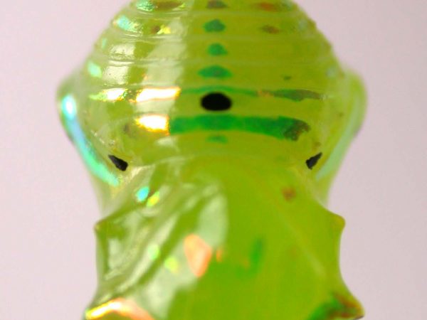 Greta hermana pupa, KRW-93