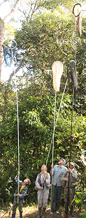 Scientists with large butterfly nets