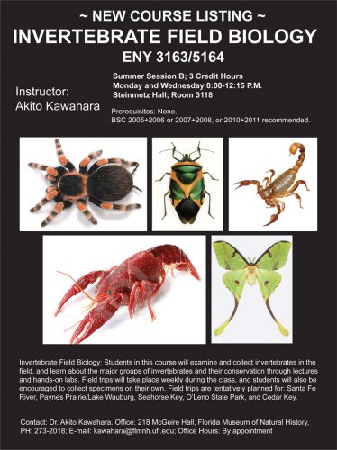 Invertebrate Field Biology class flyer