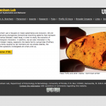 Branham Lab website screenshot