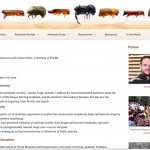 Hulcr Lab website homepage screenshot