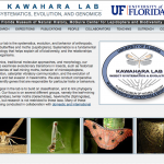 Kawahara lab website screenshot