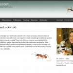 Lucky Lab homepage screenshot