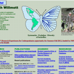 Willmott site screenshot