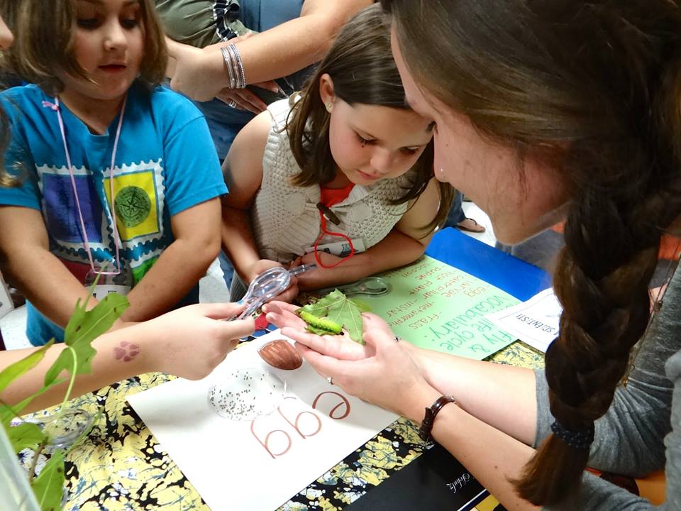 children examining a caterpillar