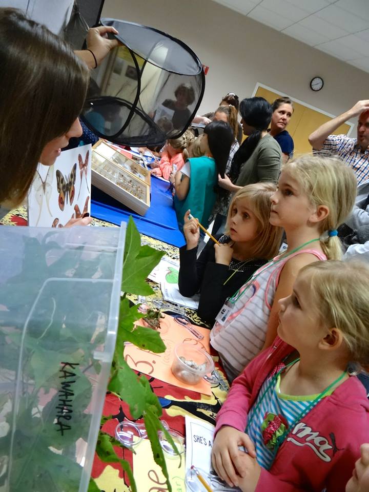 children learning about different types of moths