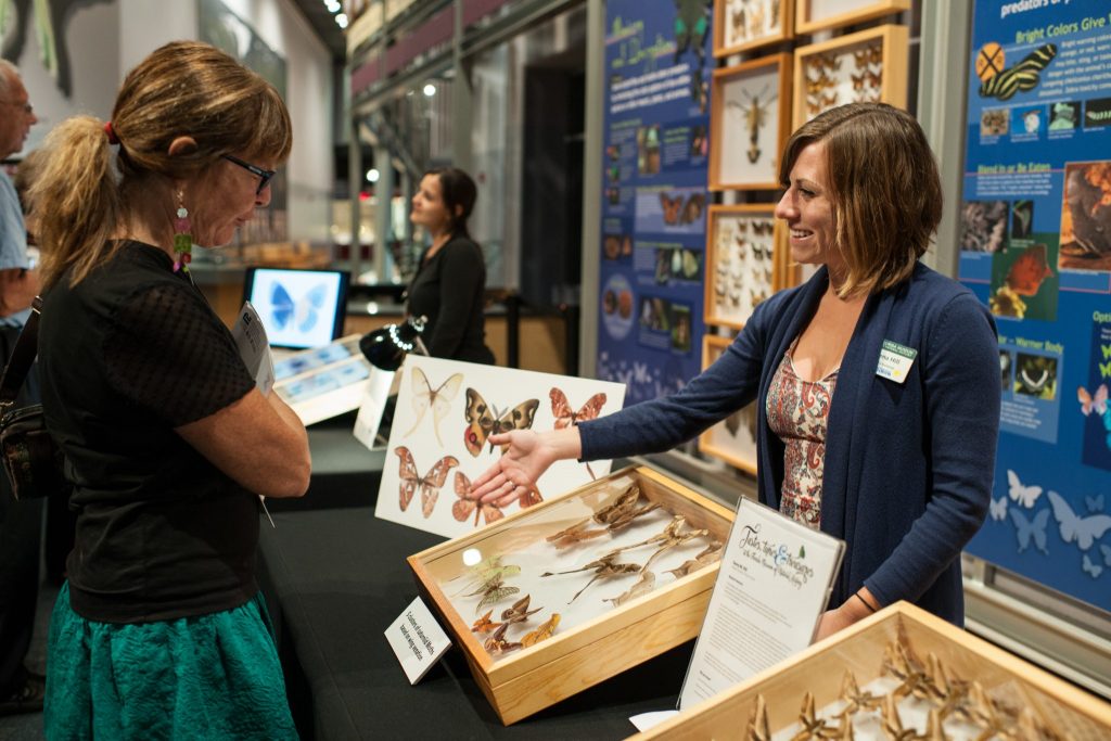 researcher talking to a visitor about moths in the collection