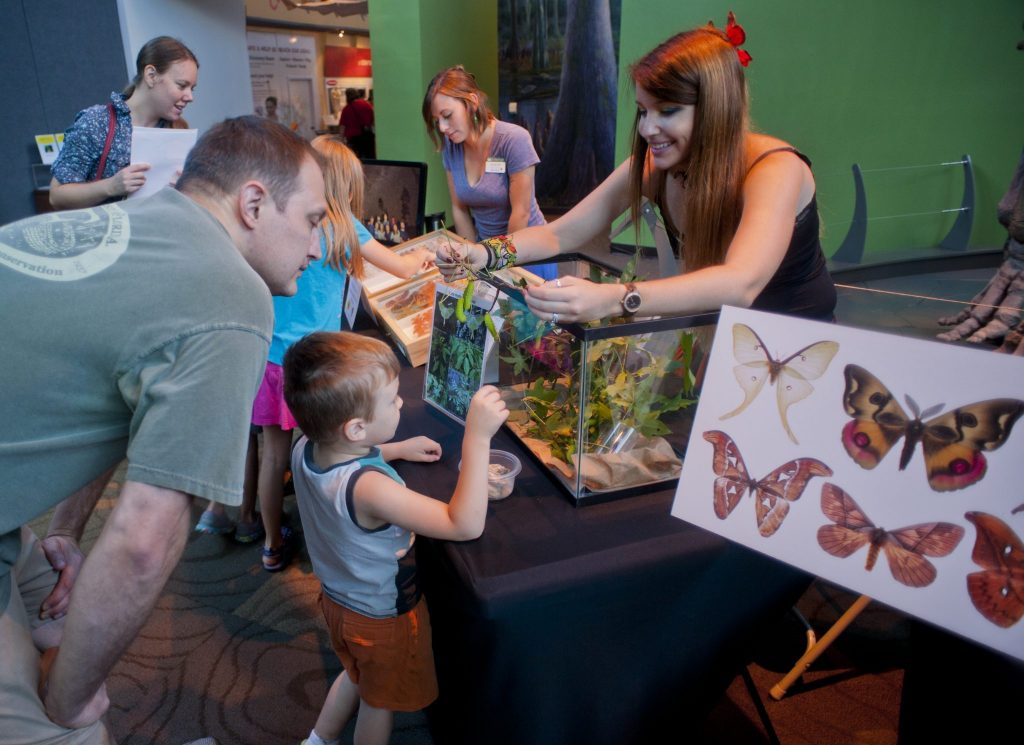 children learning about moths and butterflies