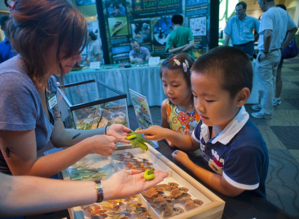 children learning about moths and butterflies