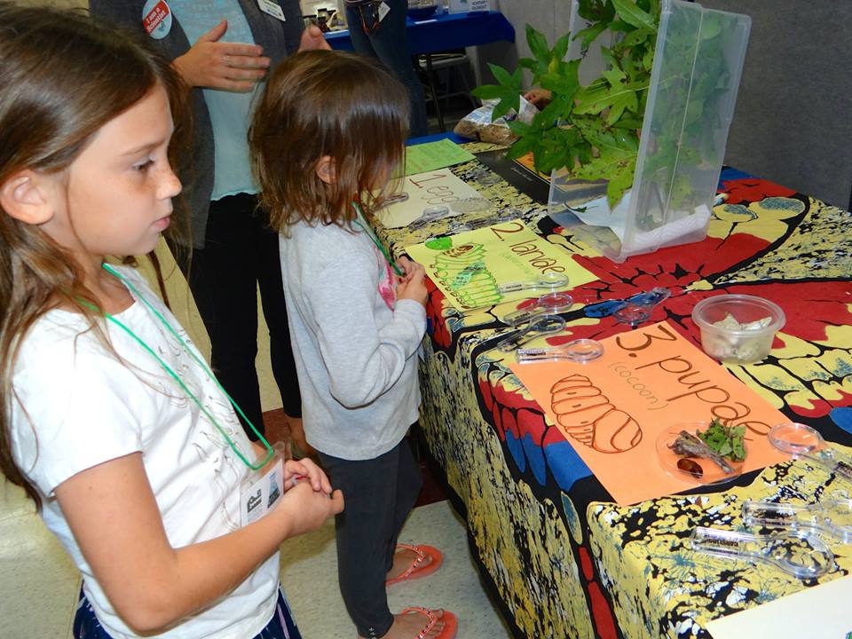 children learning about butterfly metamorphosis